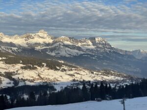 Skatteregler for firmarejser